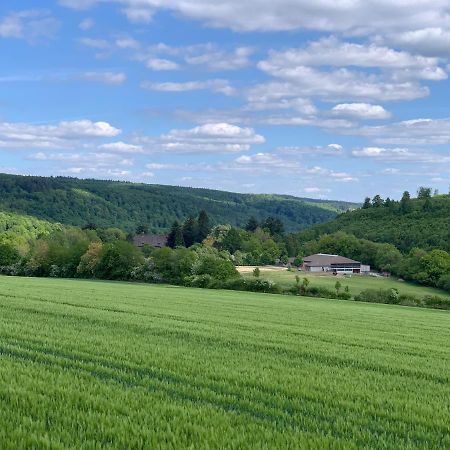 Schloessliches Ambiente Mitten In Der Natur Διαμέρισμα Bodenfelde Εξωτερικό φωτογραφία