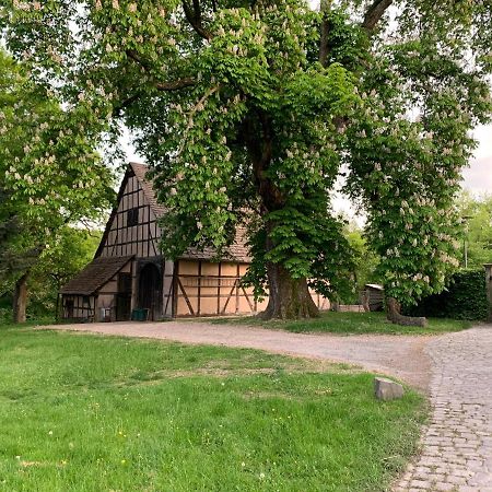 Schloessliches Ambiente Mitten In Der Natur Διαμέρισμα Bodenfelde Εξωτερικό φωτογραφία