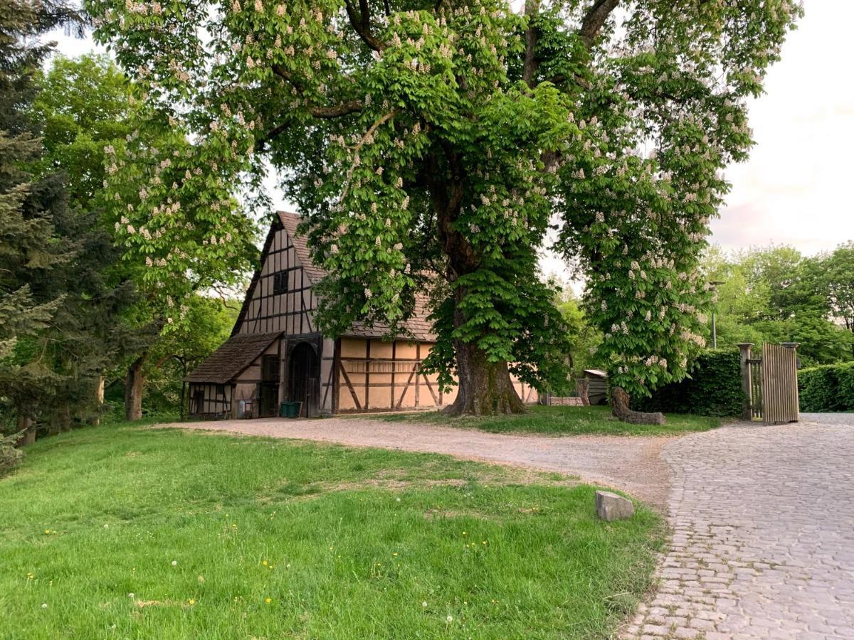 Schloessliches Ambiente Mitten In Der Natur Διαμέρισμα Bodenfelde Εξωτερικό φωτογραφία